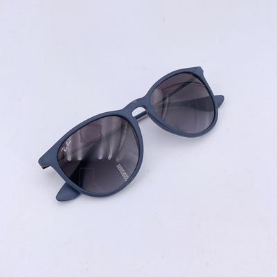 Ray-Ban Blue Matte Rubber Unisex Sunglasses RB4171 Erika